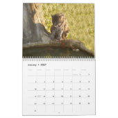 Calendrier FishingCat008, pêchant le chat (Jan 2027)