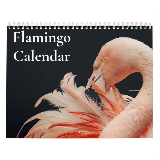 Calendrier Flamant 2027 (Protection)