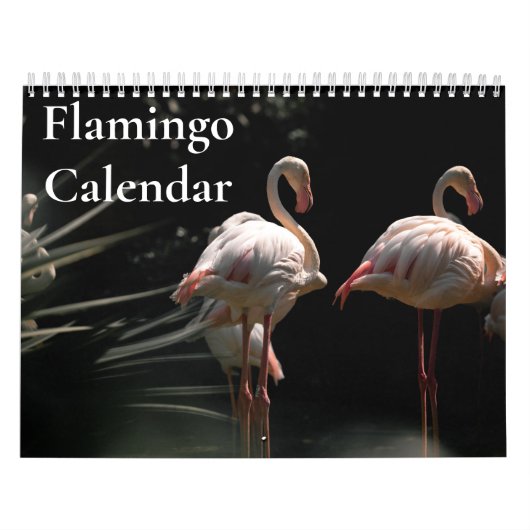 Calendrier Flamant rose 2025 (Protection)