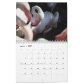Calendrier Flamant rose 2025 (Mar 2027)
