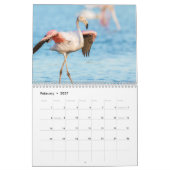 Calendrier Flamant rose 2025 (Feb 2027)