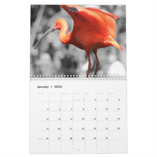 Calendrier Flamant rose 2025 (Jan 2026)