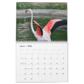 Calendrier Flamant rose 2025 (Mar 2026)