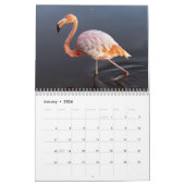Calendrier Flamant rose 2025 (Jan 2026)