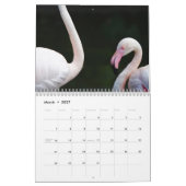 Calendrier Flamant rose 2025 (Mar 2027)