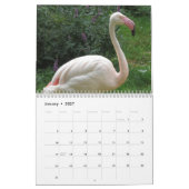 Calendrier Flamant rose 2025 (Jan 2027)