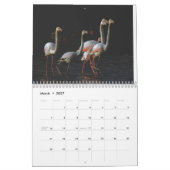 Calendrier Flamant rose 2025 (Mar 2027)