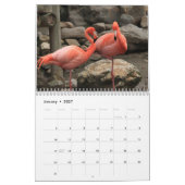 Calendrier Flamant rose 2025 (Jan 2027)