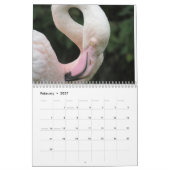 Calendrier Flamant rose 2025 (Feb 2027)