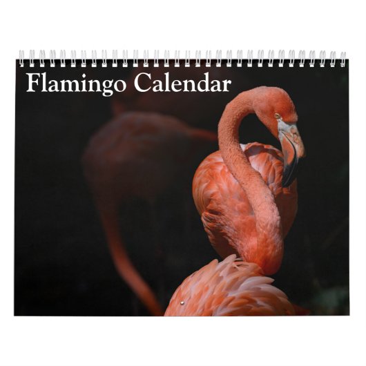 Calendrier Flamant rose 2025 (Protection)