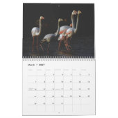 Calendrier Flamant rose 2025 (Mar 2027)