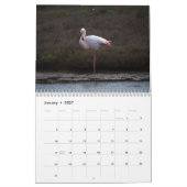 Calendrier Flamant rose 2025 (Jan 2027)