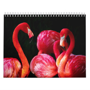 Calendrier Flamant rose moderne Tropical Rose