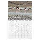 Calendrier Flamant rose sauvage Oiseaux d'Amérique du Sud (Feb 2026)