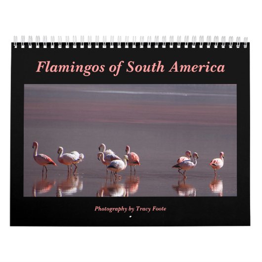 Calendrier Flamant rose sauvage Oiseaux d'Amérique du Sud (Protection)