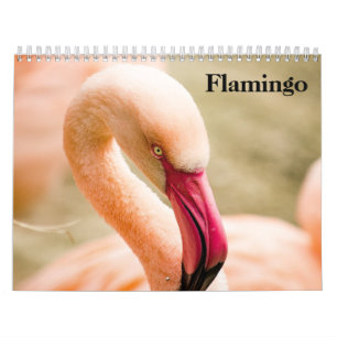 Calendrier Flamants 2026