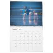 Calendrier Flamants 2026 (Feb 2027)