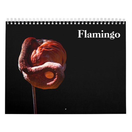 Calendrier Flamants 2027 (Protection)