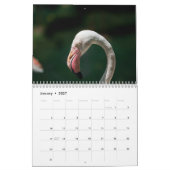 Calendrier Flamants 2027 (Jan 2027)