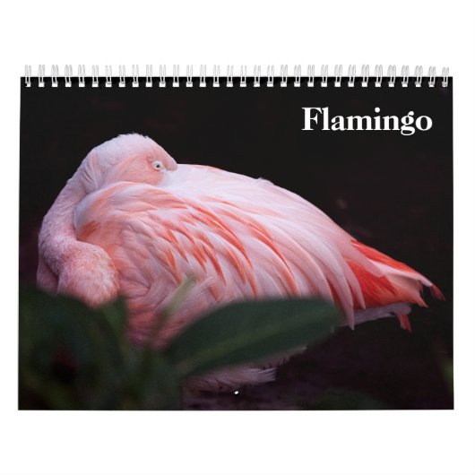 Calendrier Flamants 2027 (Protection)