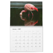 Calendrier Flamants 2027 (Jan 2027)