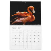 Calendrier Flamants 2027 (Feb 2027)