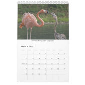 Calendrier Flamants roses (Mar 2027)