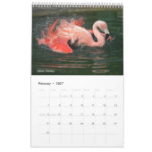 Calendrier Flamants roses (Feb 2027)