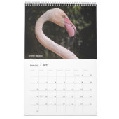 Calendrier Flamants roses (Jan 2027)