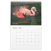 Calendrier Flamants roses (Feb 2026)
