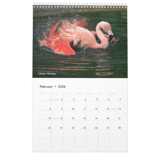 Calendrier Flamants roses (Feb 2026)