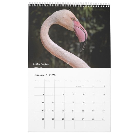 Calendrier Flamants roses (Jan 2026)