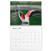 Calendrier Flamants roses (Feb 2027)