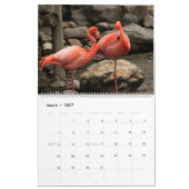Calendrier Flamants roses (Mar 2027)