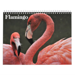 Calendrier Flamants roses 2025