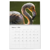 Calendrier Flamants roses 2025 (Feb 2026)