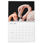 Calendrier Flamants roses 2025 (Mar 2027)