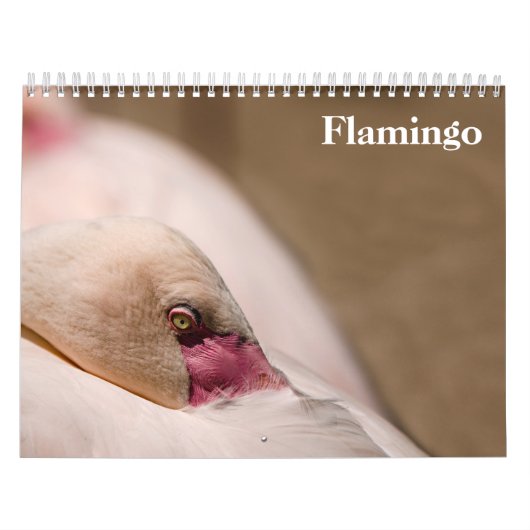 Calendrier Flamants roses 2025 (Protection)