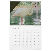 Calendrier Flamants roses 2025 (Jan 2026)