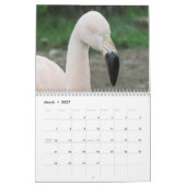 Calendrier Flamants roses 2025 (Mar 2027)