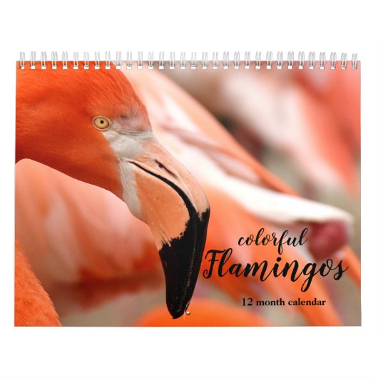 Calendrier Flamants roses colorés 2026 (Protection)
