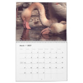 Calendrier Flamants roses colorés 2026 (Mar 2027)