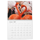 Calendrier Flamants roses colorés 2026 (Jan 2027)