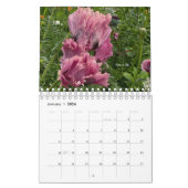 Calendrier Fleur de pavot (Jan 2026)