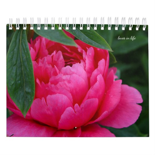 Calendrier Fleur de pivoine (Protection)