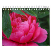 Calendrier Fleur de pivoine (Protection)