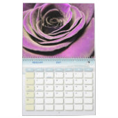 Calendrier Fleur de Rose 2027 (Feb 2027)
