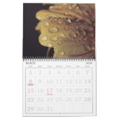 Calendrier Fleur photo macro (Mar 2026)