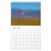 Calendrier Fleur sauvage (Mar 2027)