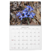 Calendrier fleur sauvage #2 (Mar 2027)